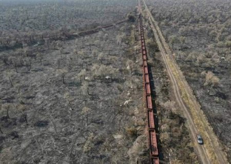 Tr&ecirc;s de MS foram multados em R$ 50 milh&otilde;es por inc&ecirc;ndios no Pantanal