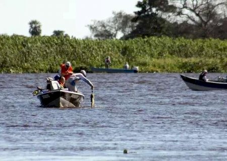Pescadores e com&eacute;rcios devem declarar estoque de peixes, ap&oacute;s in&iacute;cio da piracema
