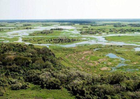 Com faturamento de R$ 1,83 bi ao ano, pecuária é a que mais emprega no Pantanal