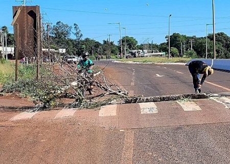 Indígenas bloqueiam MS-156 entre Dourados e Itaporã em protesto contra falta de água