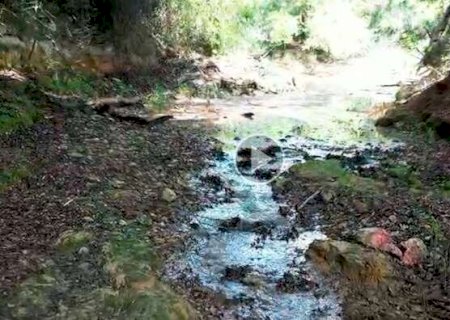 Rio da Prata volta a ter vida com retorno da &aacute;gua em trecho de 7 km seco