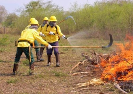 Deputado Zé Teixeira requisita equipamentos para combate a incêndios