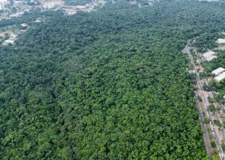 Visita&ccedil;&atilde;o do Parque do Estadual do Prosa &eacute; suspensa para reforma de estruturas