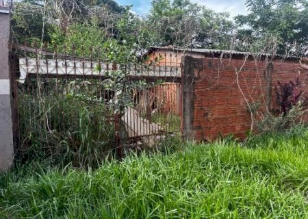 Ratos em terreno sujo s&atilde;o terror de moradora na Vila Santa Lu&iacute;za