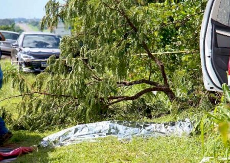 Caminhonete bateu em &aacute;rvore ao desviar de ve&iacute;culo que invadiu contram&atilde;o