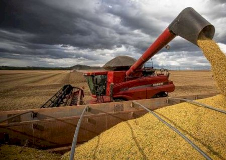 Agricultura deve produzir 314,8 milh&otilde;es de toneladas em 2025