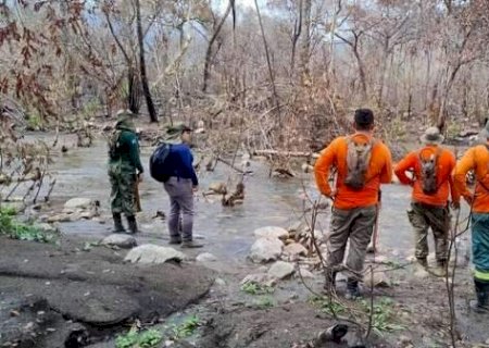 Ap&oacute;s inc&ecirc;ndios florestais, equipes avaliam &aacute;reas atingidas para recupera&ccedil;&atilde;o