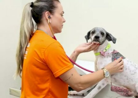 Regi&atilde;o do Coophavila recebe mutir&atilde;o para pets nesta quarta-feira