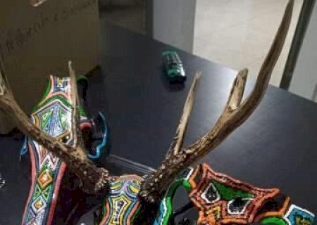 Mulher &eacute; presa vendendo cr&acirc;nios de animais silvestres como arte