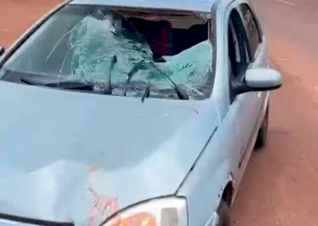 Idoso atropelado por carro morre a caminho do hospital