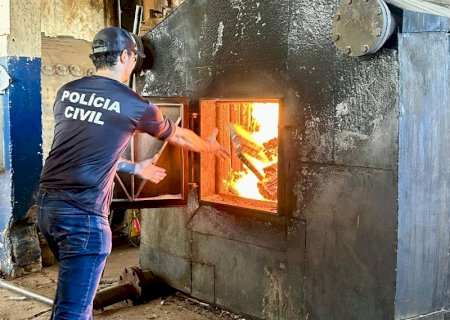 Polícia Civil incinera mais de 230 quilos de cocaína em cidade de MS