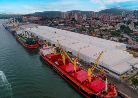 Exportações da indústria de transformação crescem 25%, com celulose, carne bovina e soja