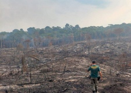 BNDES corta crédito rural no valor de R$ 728 milhões a desmatadores ilegais
