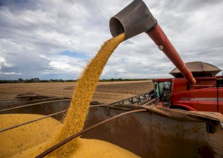 Sob impacto da seca, colheita de soja em MS atinge 11,7%