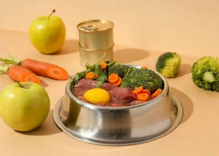 Alimenta&ccedil;&atilde;o natural at&eacute; faz bem para pet, mas exige muita aten&ccedil;&atilde;o