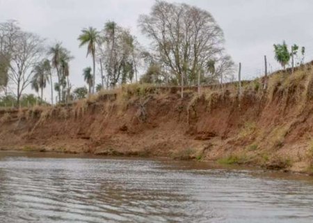 S&oacute; 23% dos R$ 400 mil em multas por desmatamento em margem dos rios foram pagos