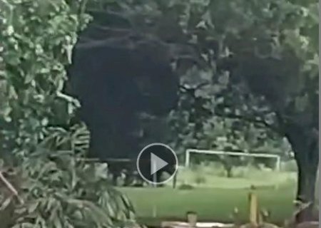 Forte temporal atinge fronteira com Paraguai e causa danos