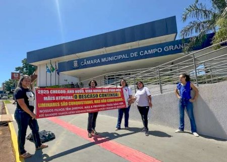 M&atilde;es foram &agrave; C&acirc;mara protestar por leite e fraldas para crian&ccedil;as