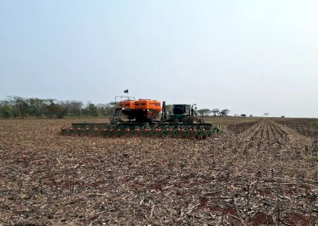 Colheita da soja avan&ccedil;a em MS, mas seca compromete 43% da &aacute;rea plantada