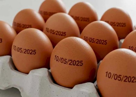 País tem recorde na produção de ovos, abate de bovinos, frango e porco