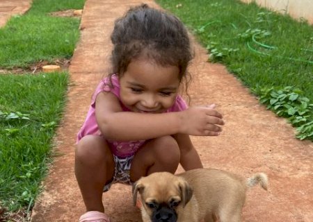Ana Lu&iacute;sa j&aacute; est&aacute; h&aacute; uma semana chamando por sua cachorrinha desaparecida