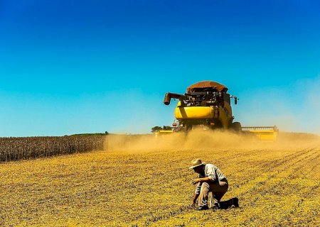 Tarifas de Trump colocam mercado da soja em alerta; preços recuam no Brasil