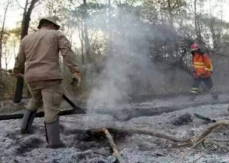T&eacute;cnica secular, queima controlada desponta como aliada do Pantanal