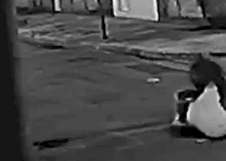 Na moda, bandidos invadem loja de roupas e deixam preju&iacute;zo de R$9 mil