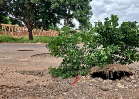 Esgoto aberto e mau cheiro transformam avenida em caos há três meses