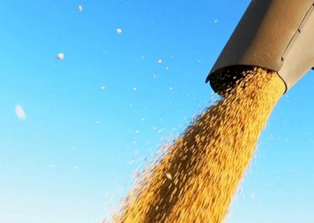 'O Brasil segue como protagonista mundial na venda de soja', afirma analista
