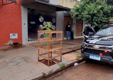 Polícia Civil deflagra operação em combate a estelionatos na Capital