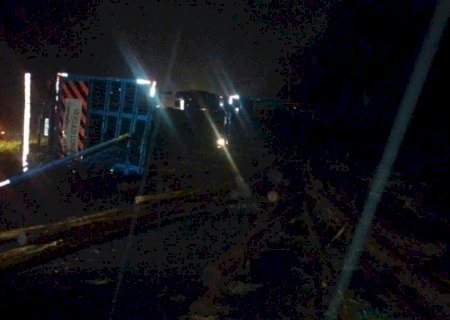 Carreta carregada com toras de eucalipto tomba na MS-134