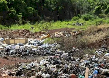 Enquete: qual sua atitude di&aacute;ria para reduzir impactos ambientais?