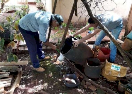 MS registra mais duas mortes por dengue, com 42 munic&iacute;pios em alerta