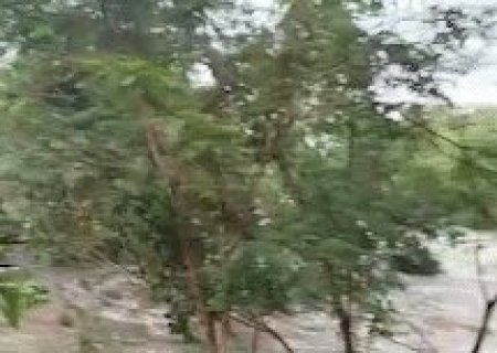 Vídeo mostra estrutura oca em ponte que pode desmoronar após chuva forte