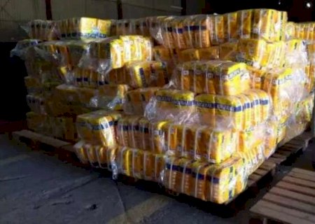 Fornecimento de fraldas e dietas especiais no SUS vira alvo de investiga&ccedil;&atilde;o