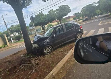 Motorista perde o controle da dire&ccedil;&atilde;o, bate em &aacute;rvore e morre no hospital