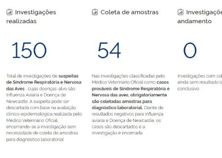 MS descarta 2&ordm; caso suspeito de gripe avi&aacute;ria