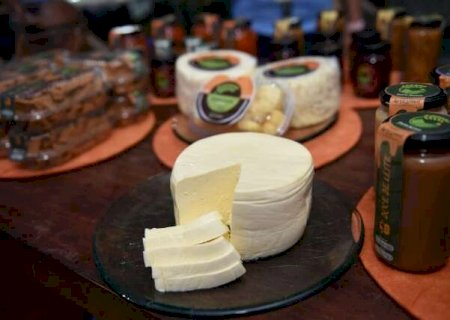 Festa do Queijo sonha com dias mais fartos em Rochedinho