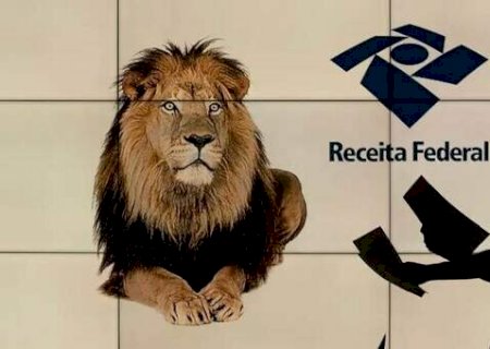 MS atinge 85% da meta de declara&ccedil;&otilde;es do IR na v&eacute;spera do prazo
