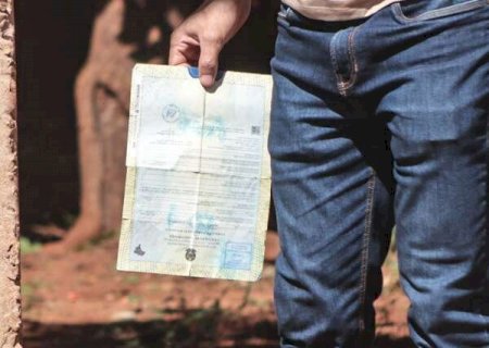 Filhos s&oacute; da m&atilde;e: nome do pai falta em 14 mil registros em MS