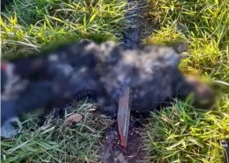Suspeito de matar homem encontrado carbonizado &eacute; preso