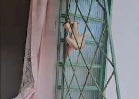 Sede de projeto social e casa de moradora s&atilde;o furtadas durante a madrugada