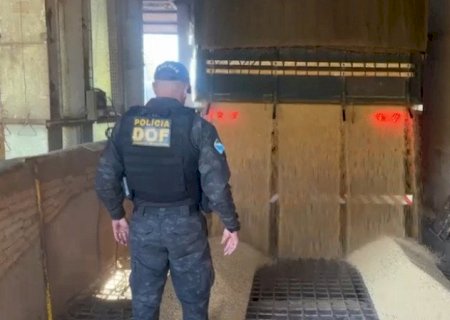 Droga avaliada em R$ 18 milhões é apreendida em carreta com soja em Dourados