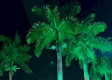 Boutique’in: de um sonho em 2020 ao brinde com o público da 59ª EXPOAGRO 2025
