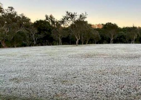 MS tem risco de geada e m&iacute;nimas de 3&ordm;C nesta sexta-feira