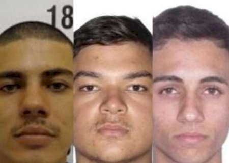 Influenciador e "assessores" s&atilde;o presos em esquema de tr&aacute;fico interestadual