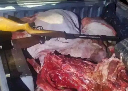 Dupla morre em confronto com a PM após furto de gado em MS; outros dois são presos