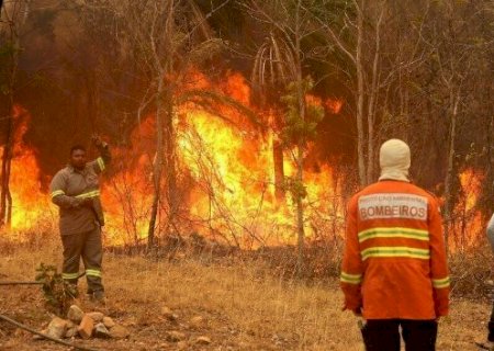 Uni&atilde;o libera R$ 32 milh&otilde;es para combater inc&ecirc;ndios no Pantanal