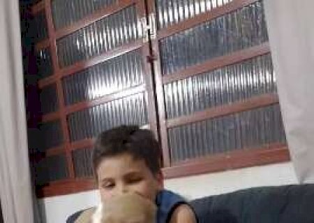 Companheiro de crian&ccedil;a, pitbull foge e fam&iacute;lia pede ajuda